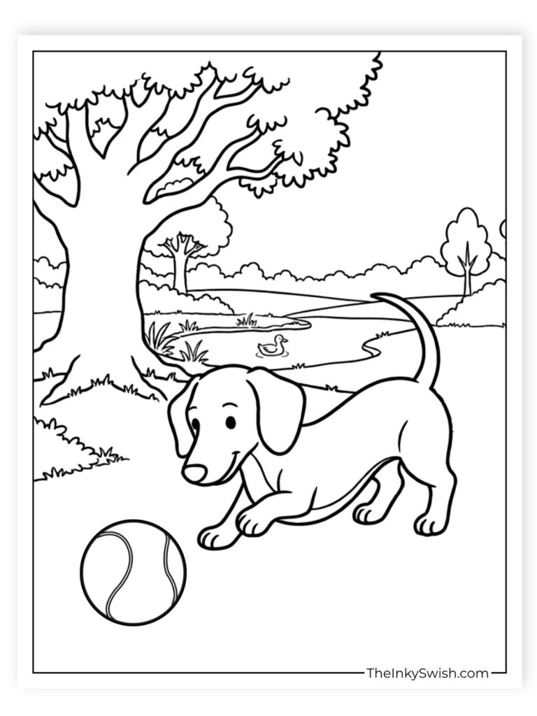 Dachshund playing with tennis ball in park with pond and tree coloring page