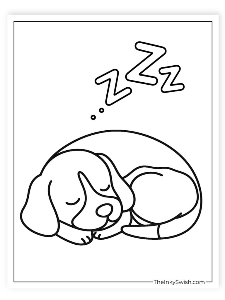 Easy sleeping puppy coloring page curled up simple dog printable with zzz for kids
