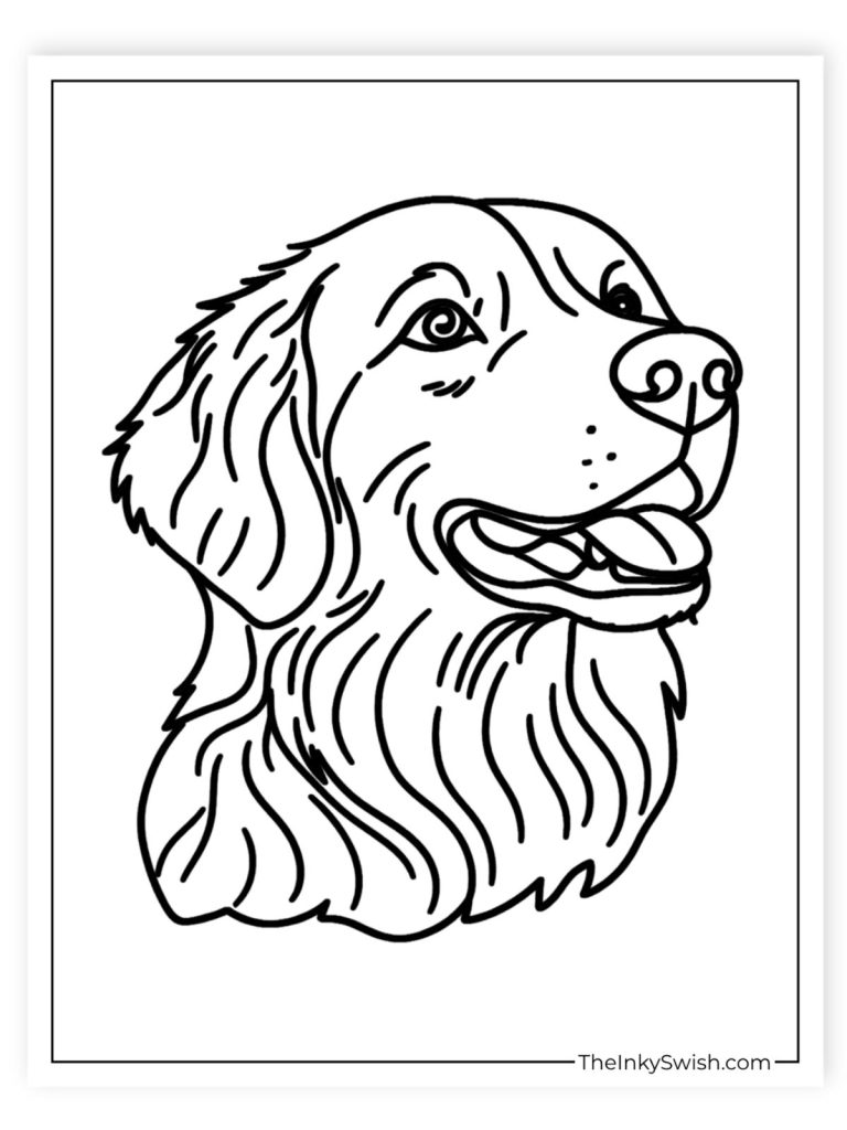 Detailed golden retriever portrait coloring page printable