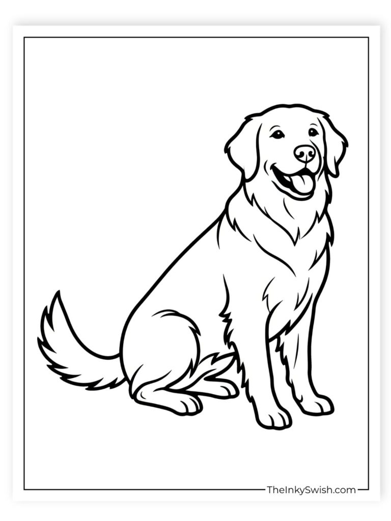 Golden retriever dog sitting coloring sheet for children
