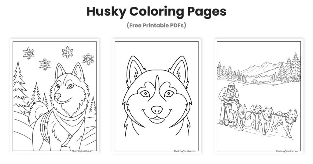 Husky coloring pages collection featuring three free printable Siberian Husky designs for kids and adults.