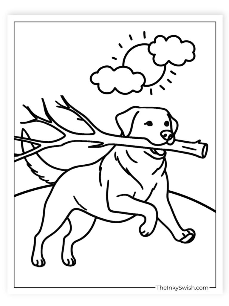 Labrador carrying stick coloring page. Simple dog playing outside with branch with clouds and sun.