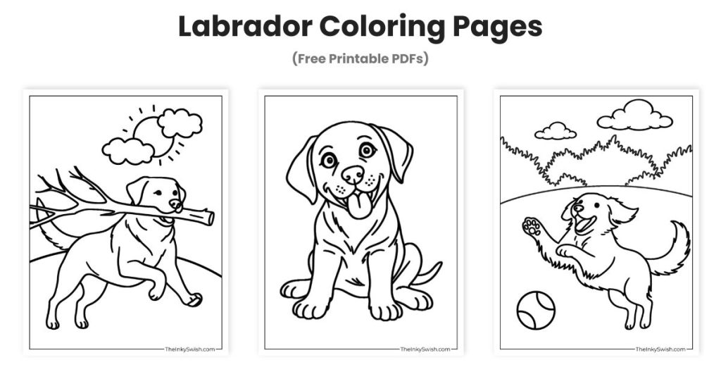 Free labrador coloring pages printable set featuring puppy carrying stick cute sitting puppy and dog playing with ball