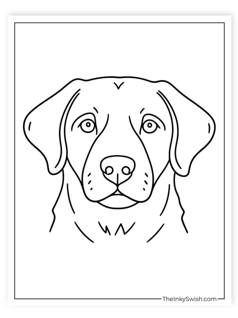 Labrador Retriever face close-up coloring page printable