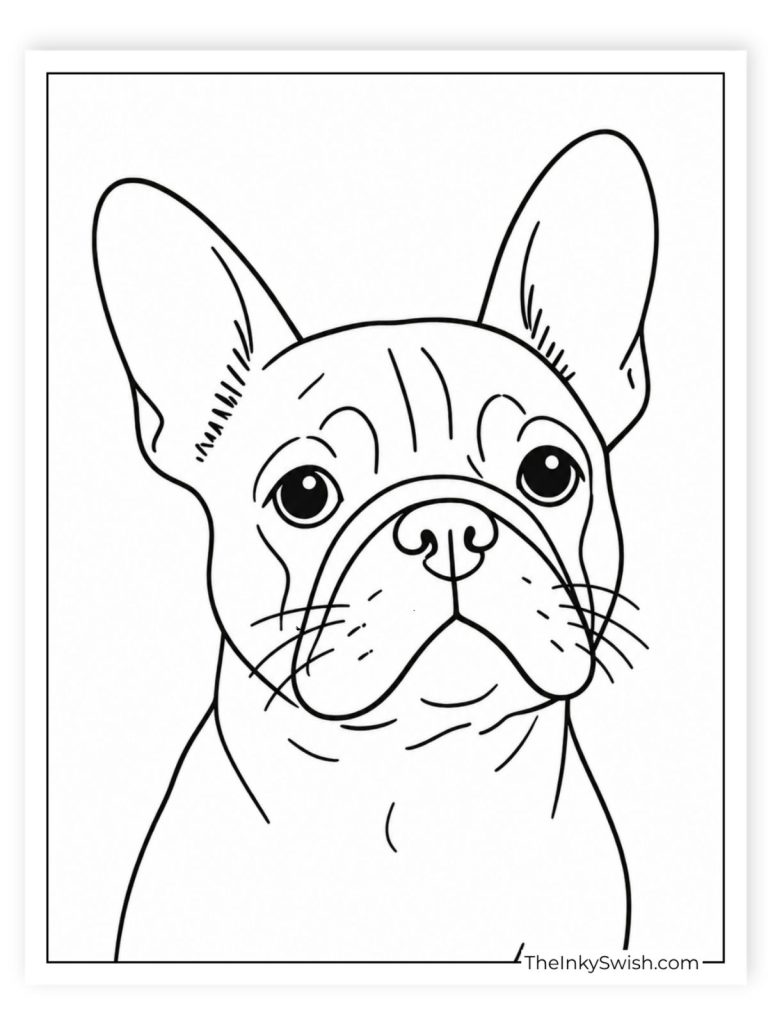 Realistic French Bulldog coloring page close up portrait with detailed facial features