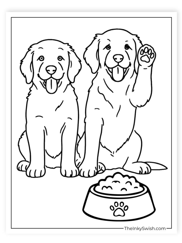 Two golden retrievers sitting with a food bowl coloring sheet for kids